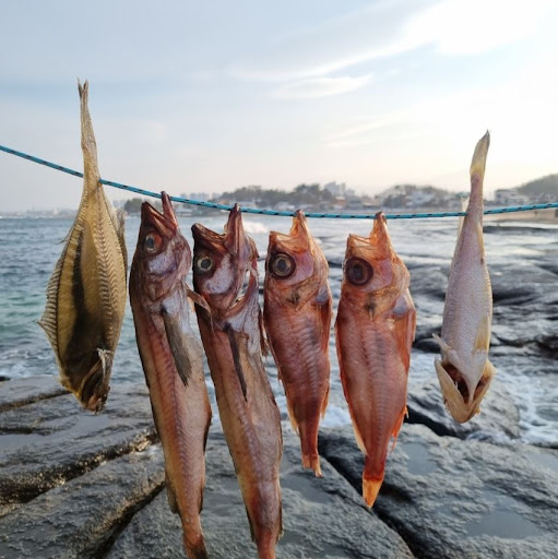 반건조생선 고등어로 맛보는 속초사이버장터의 특별함